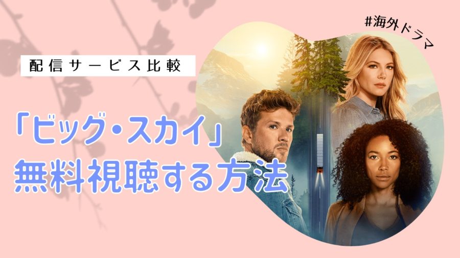 完全比較 ビッグ スカイ の動画を無料で視聴する方法を徹底解説 我輩の海ドラ